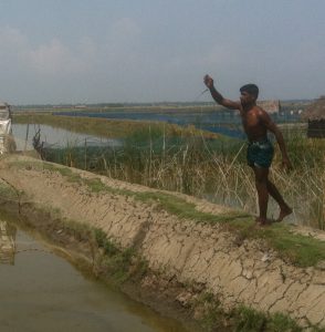 Man Throwing Fishing Net into Canal - Source: [Author Unknown]. Image 1504. Digital Image. [Source Unknown], [Date Published Unknown]