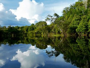 Amazon River Reflections, Brazil - Source: Si, Jay. Amazon River Reflections, Brazil. Digital Image. Shutterstock, [Date Published Unknown]