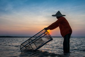 Evening Fisherman - Source: Suwanput, Somsak. Silhouette Fisherman Evening Lamps. Digital Image. Shutterstock. [Date Published Unknown]