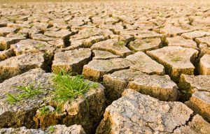 Cracked Earth with Grass - Source: P. Songsak. Cracked Earth with Grass. Digital Image. Shutterstock, [Date Published Unknown]
