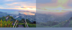 Transdisciplinary Research for Pathways to Sustainability