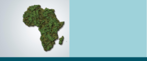 African Regional Call